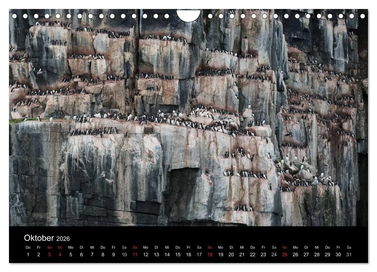 Bild: 9783516018875 | TRAUMZIEL ARKTIS, Impressionen vom Rand der Welt (Wandkalender 2026...