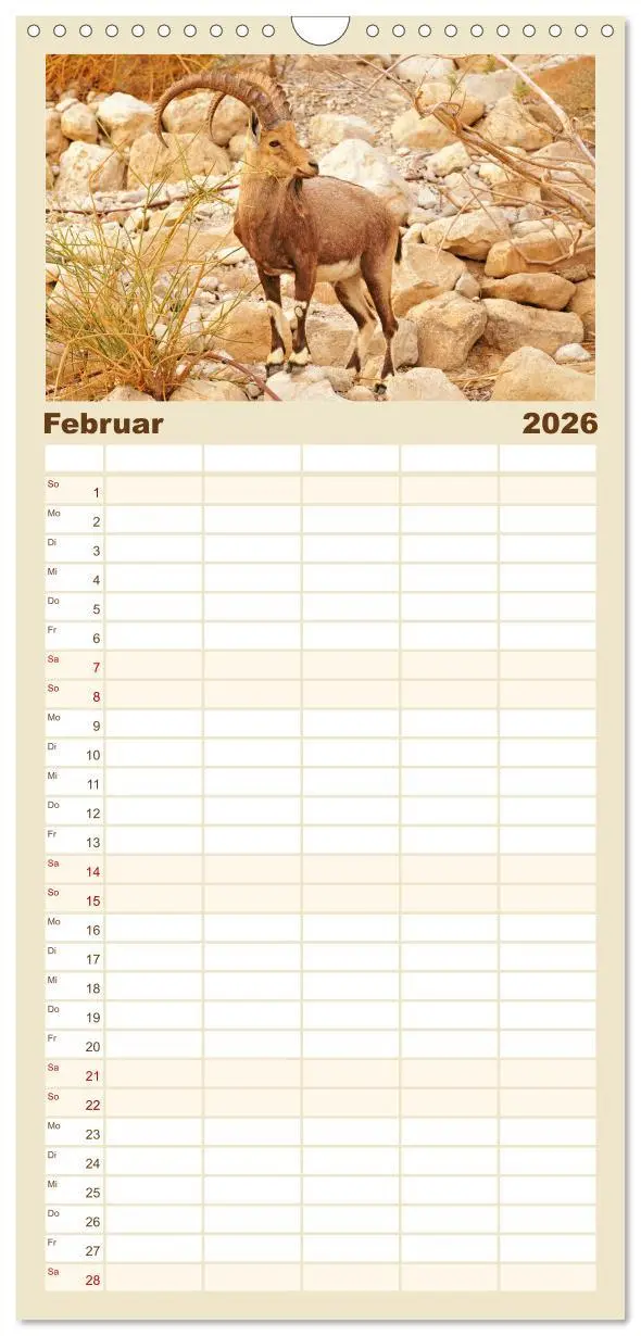 Bild: 9783516498875 | Familienplaner 2026 - Zwischen Tradition und Moderne: Israel mit 5...