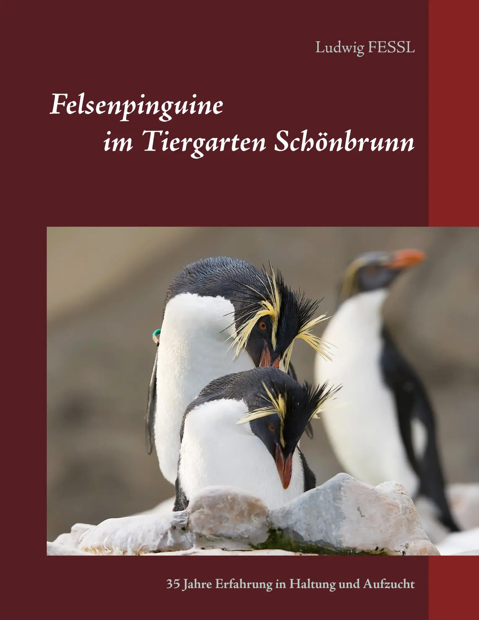 Cover: 9783741298875 | Felsenpinguine im Tiergarten Schönbrunn | Ludwig Fessl | Taschenbuch Cover: 9783741298875 | Felsenpinguine im Tiergarten Schönbrunn | Ludwig Fessl | Taschenbuch