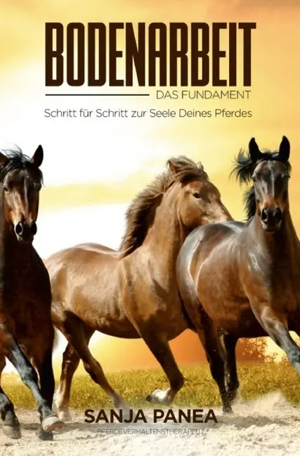 Cover: 9783752948875 | Bodenarbeit - Das Fundament | Sanja Panea | Taschenbuch | Deutsch
