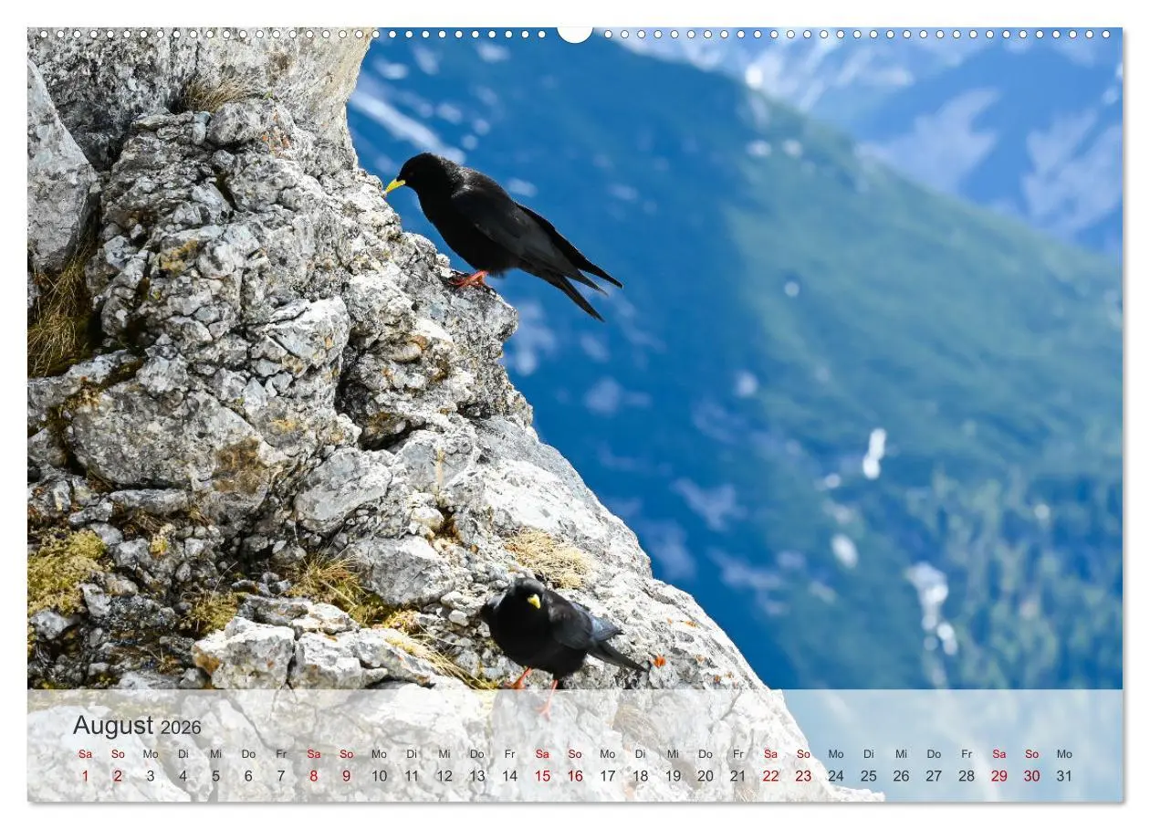 Bild: 9783457398975 | Alpenwelten-Zwischen Wetterstein und Karwendel (hochwertiger...