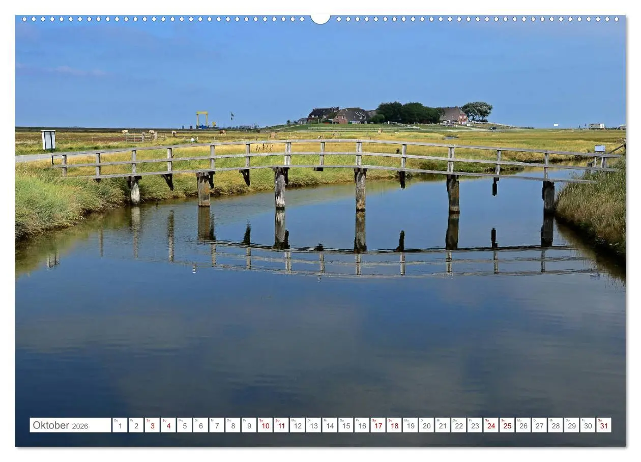 Bild: 9783457918975 | Sommertage auf Hallig Hooge (Wandkalender 2026 DIN A2 quer),...