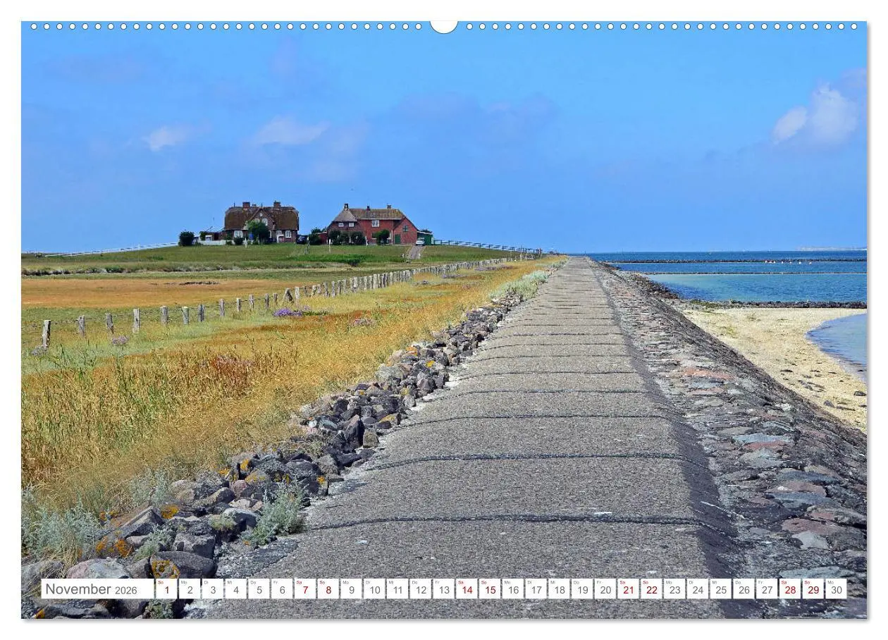 Bild: 9783457918975 | Sommertage auf Hallig Hooge (Wandkalender 2026 DIN A2 quer),...