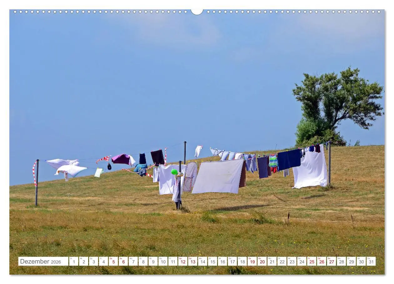 Bild: 9783457918975 | Sommertage auf Hallig Hooge (Wandkalender 2026 DIN A2 quer),...