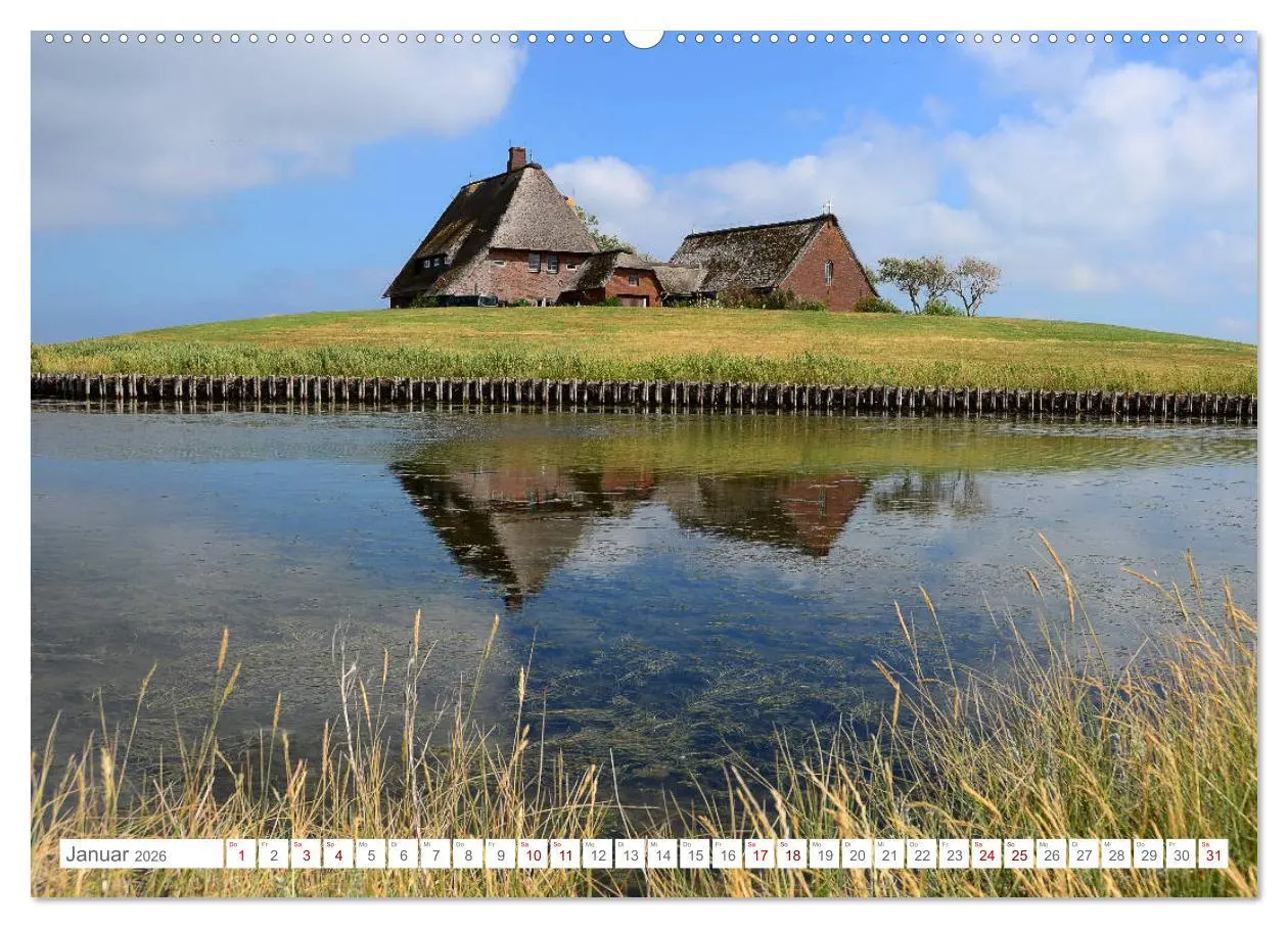 Bild: 9783457918975 | Sommertage auf Hallig Hooge (Wandkalender 2026 DIN A2 quer),...