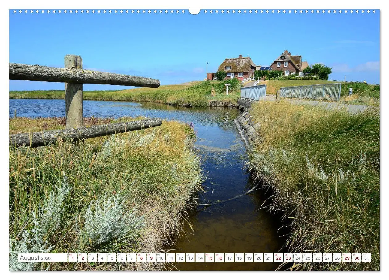 Bild: 9783457918975 | Sommertage auf Hallig Hooge (Wandkalender 2026 DIN A2 quer),...