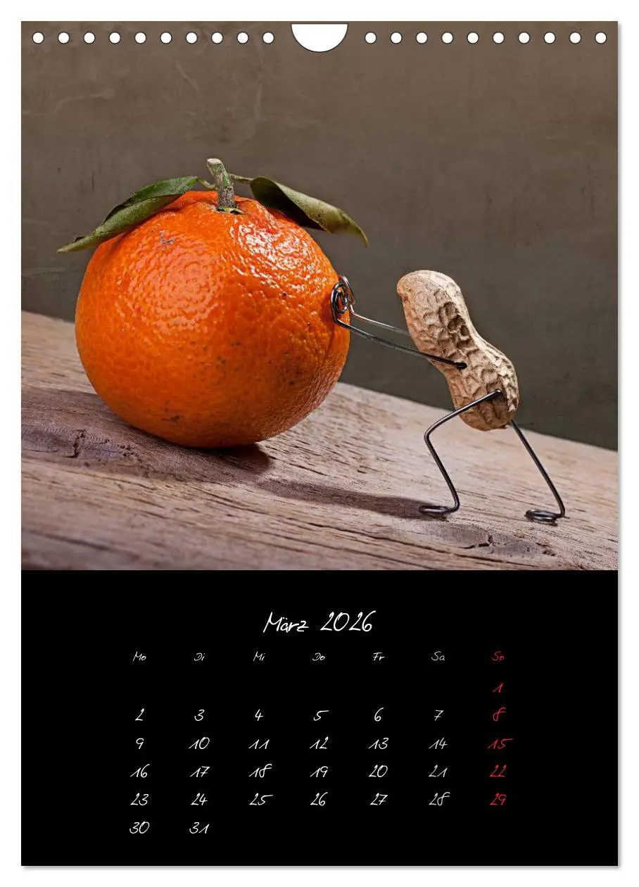 Bild: 9783516488975 | Simple Things 2026 (Wandkalender 2026 DIN A4 hoch), CALVENDO...