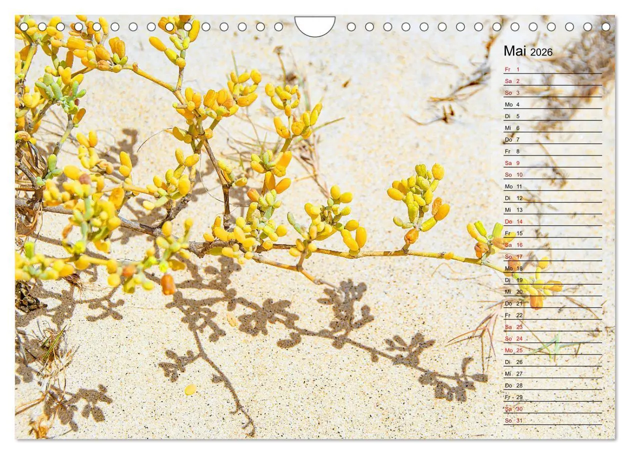 Bild: 9783457669075 | Traumhaftes Reiseziel - Boa Vista Urlaubsplaner (Wandkalender 2026...
