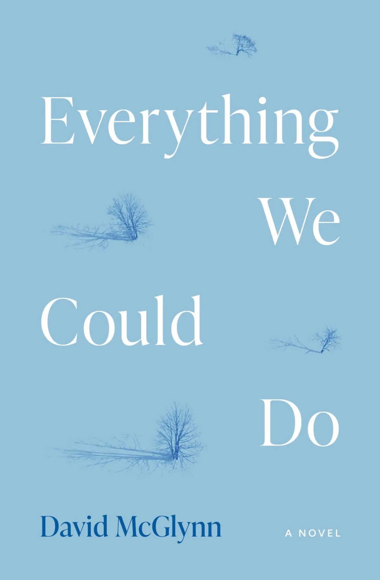 Cover: 9780810149175 | Everything We Could Do | David McGlynn | Taschenbuch | Englisch | 2025