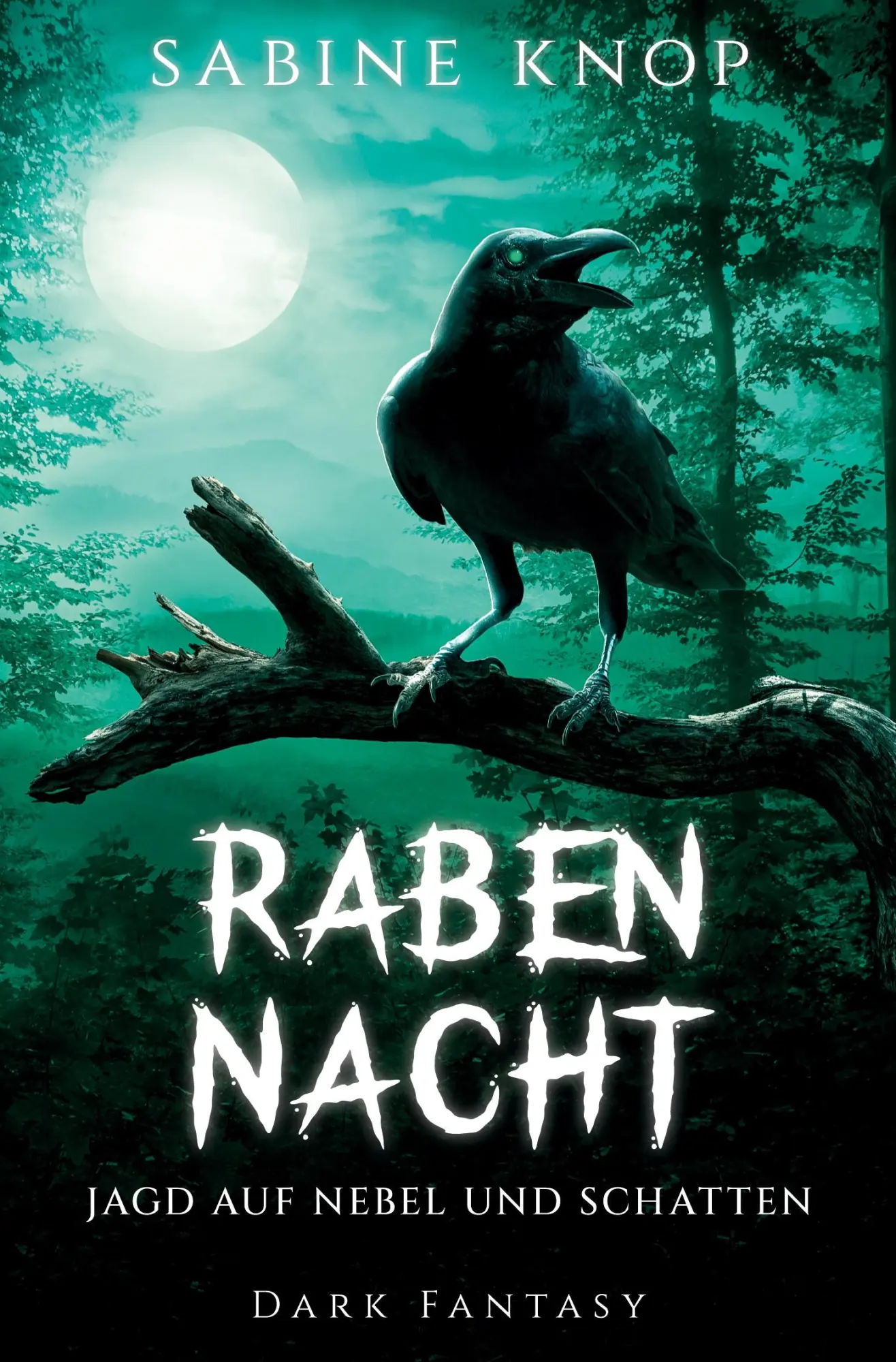 Cover: 9783819479175 | Rabennacht | Jagd auf Nebel und Schatten | Sabine Knop | Taschenbuch