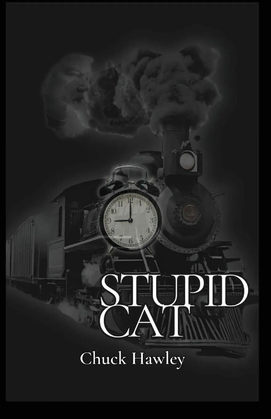 Cover: 9798992819175 | Stupid Cat | Chuck Hawley | Taschenbuch | Englisch | 2025