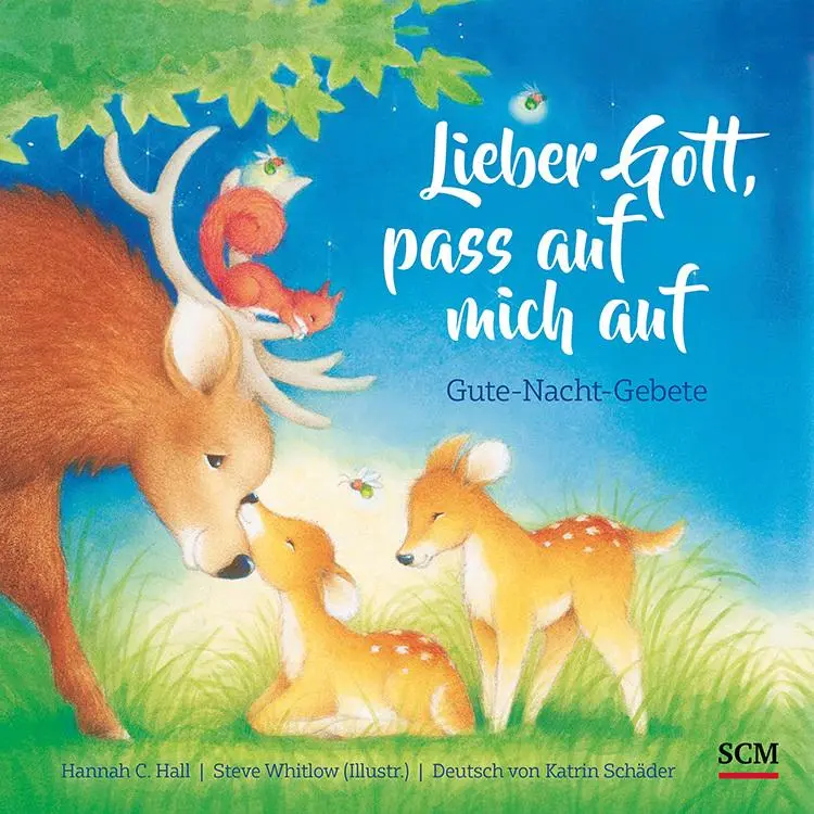 Cover: 9783417289275 | Lieber Gott, pass auf mich auf | Hannah C Hall | Buch | 20 S. | 2021