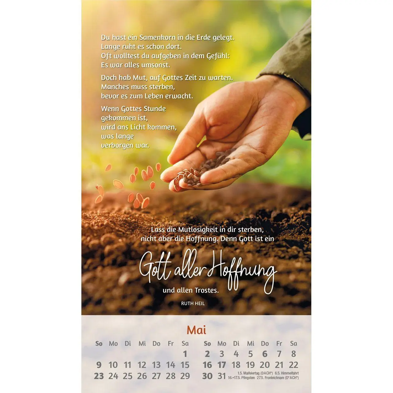 Bild: 9783754879375 | Du bist mir so wertvoll 2027 | Postkarten-Kalender von Ruth Heil