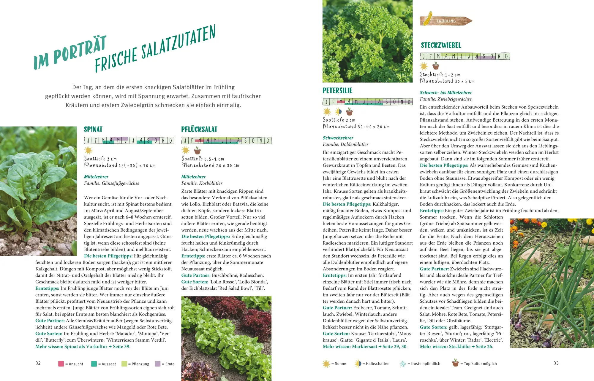 Bild: 9783833839375 | Selbstversorgt - Das Startprogramm für Einsteiger | Silke Kluth | Buch