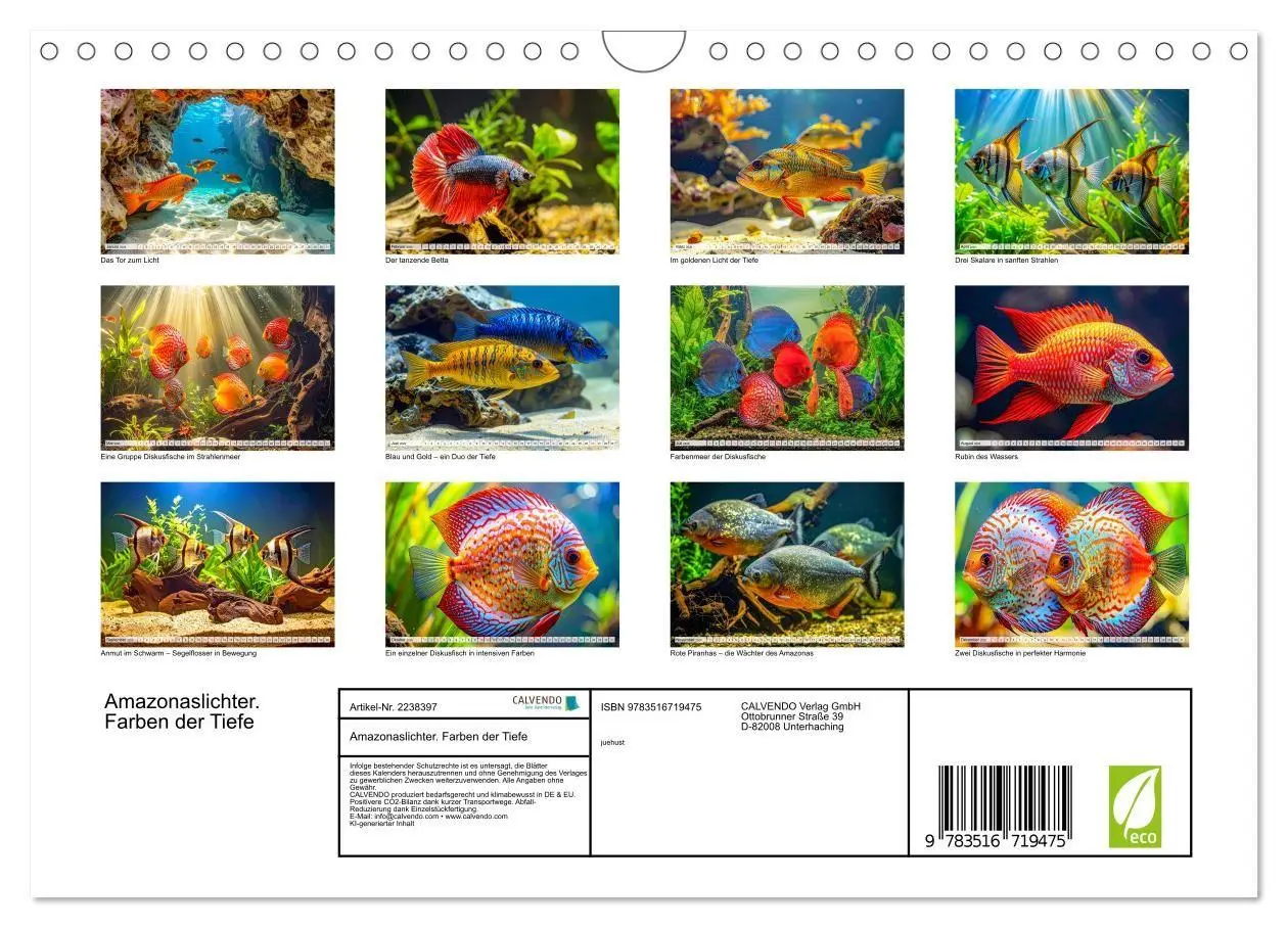 Bild: 9783516719475 | Amazonaslichter. Farben der Tiefe (Wandkalender 2026 DIN A4 quer),...