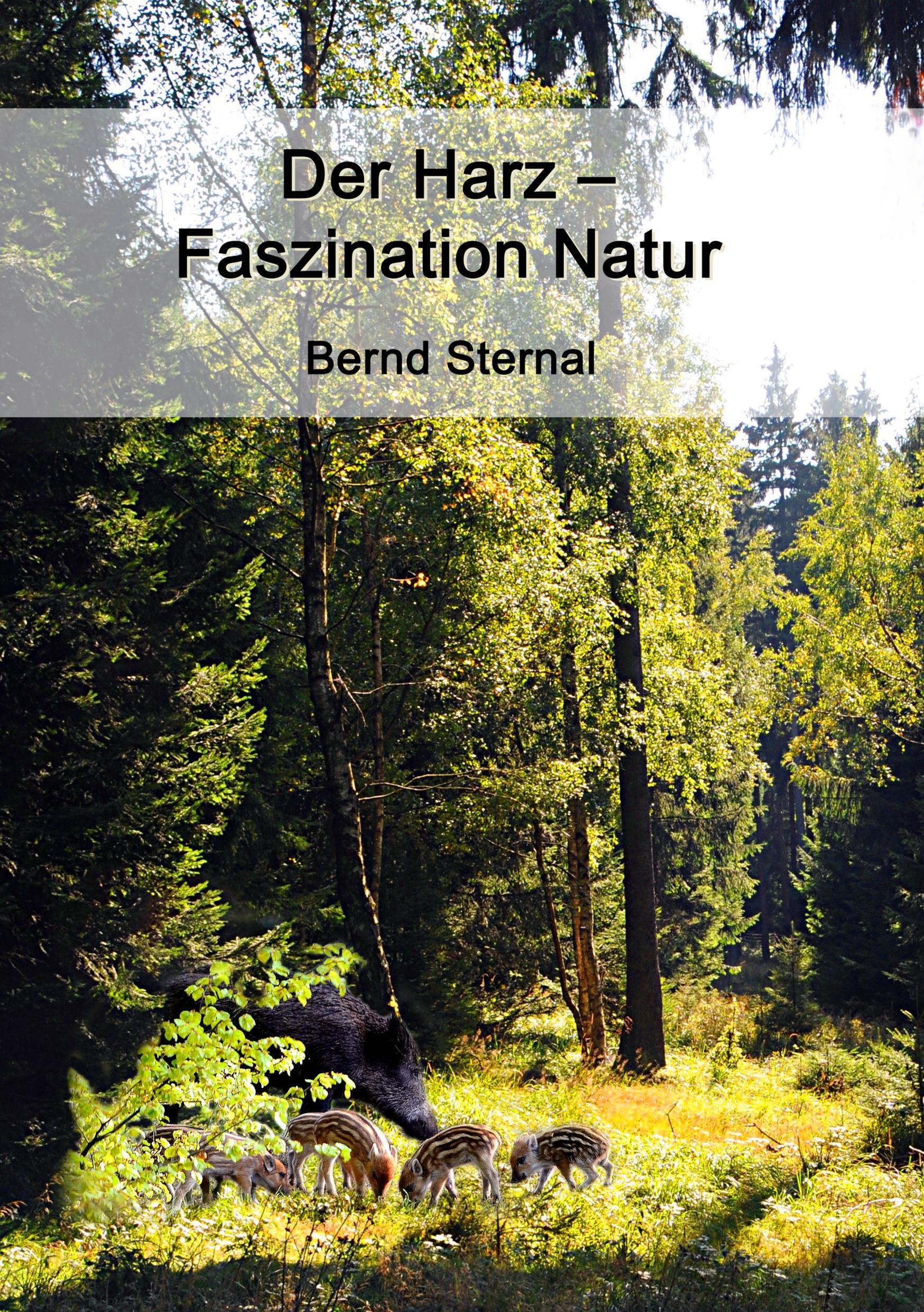 Cover: 9783746099675 | Der Harz - Faszination Natur | Bernd Sternal | Taschenbuch | Paperback