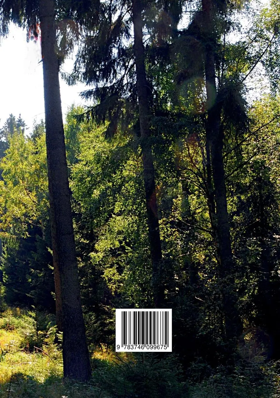 Rückseite: 9783746099675 | Der Harz - Faszination Natur | Bernd Sternal | Taschenbuch | 176 S.