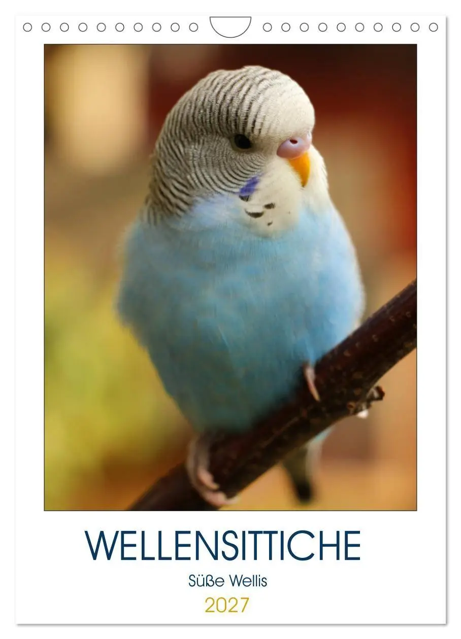 Cover: 9783569799875 | WELLENSITTICHE - Süße Wellis (Wandkalender 2027 DIN A4 hoch),...
