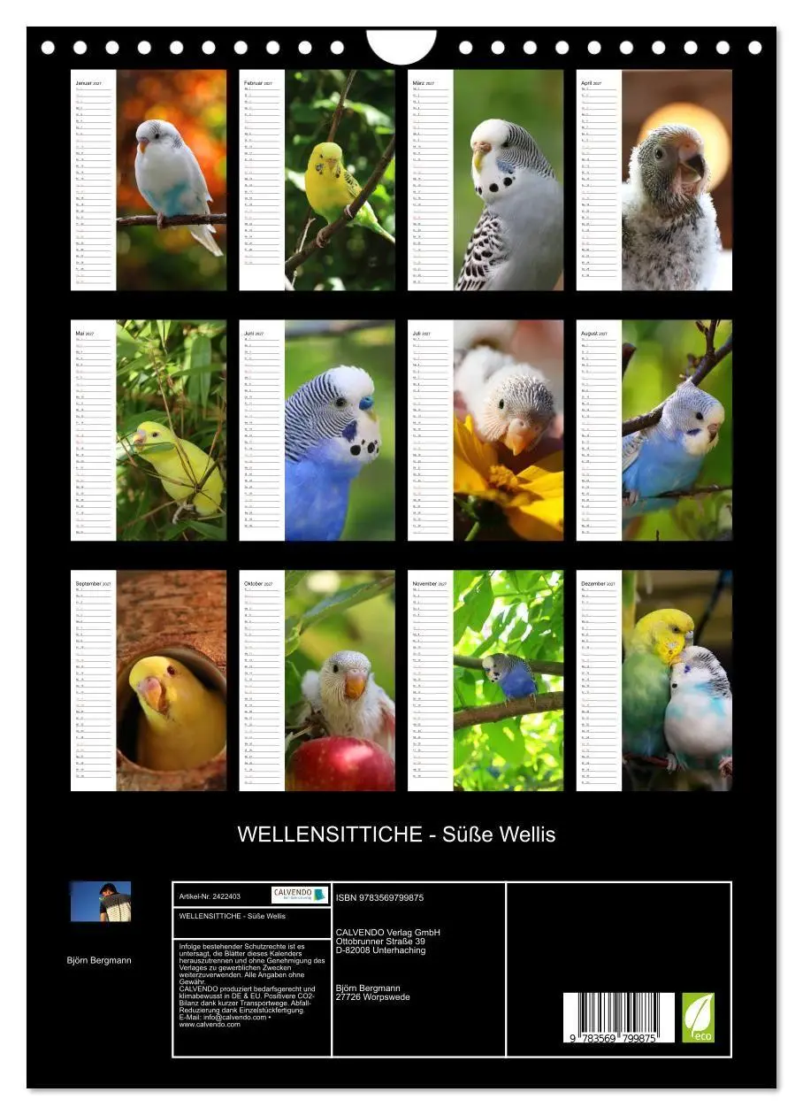 Bild: 9783569799875 | WELLENSITTICHE - Süße Wellis (Wandkalender 2027 DIN A4 hoch),...