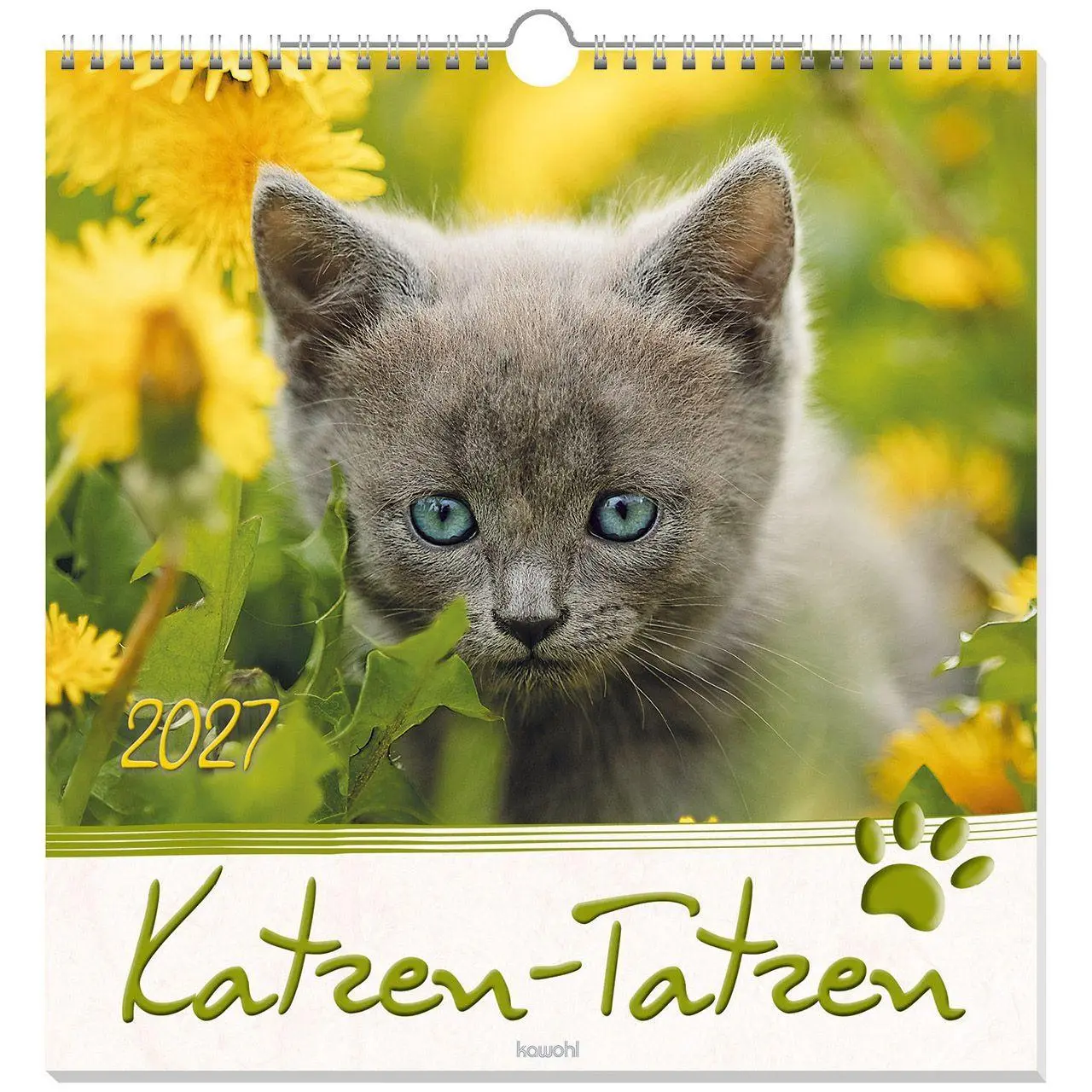 Cover: 9783754829875 | Katzen-Tatzen 2027 | Kalender | 14 S. | Deutsch | 2027