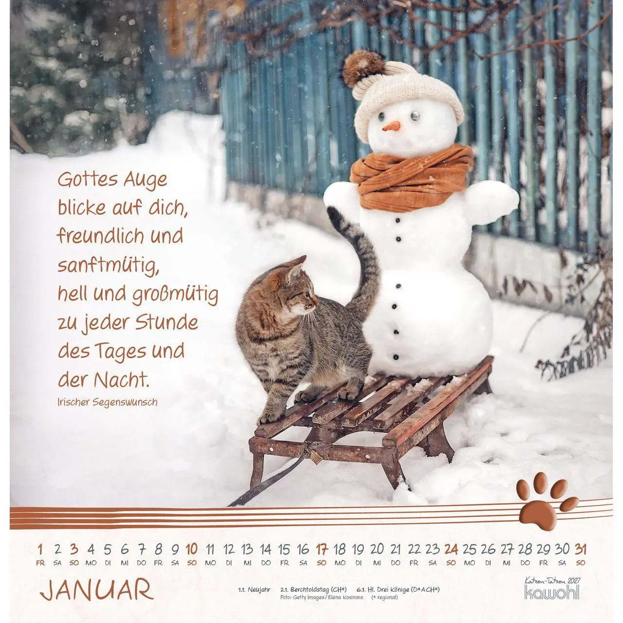 Bild: 9783754829875 | Katzen-Tatzen 2027 | Kalender | 14 S. | Deutsch | 2027