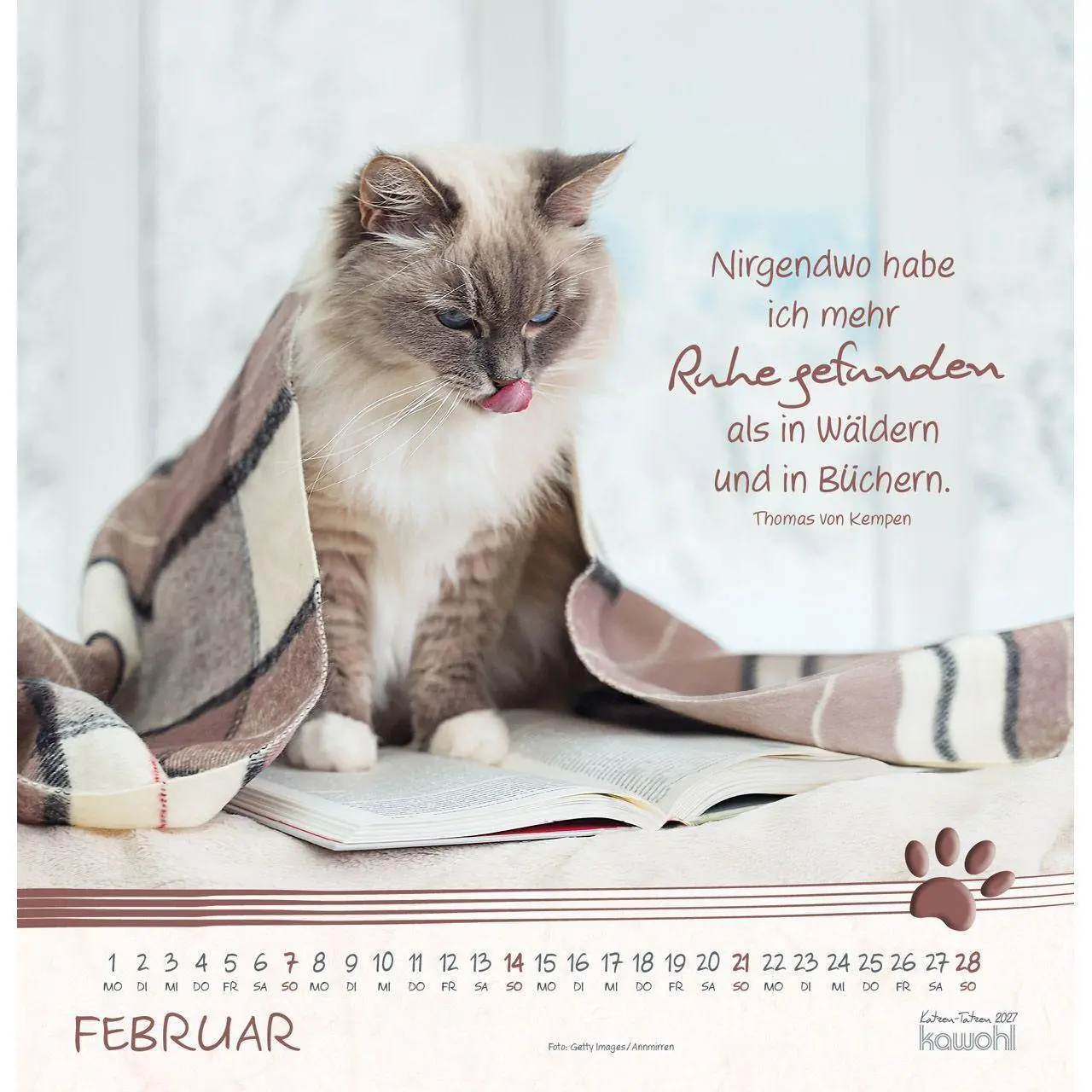 Bild: 9783754829875 | Katzen-Tatzen 2027 | Kalender | 14 S. | Deutsch | 2027