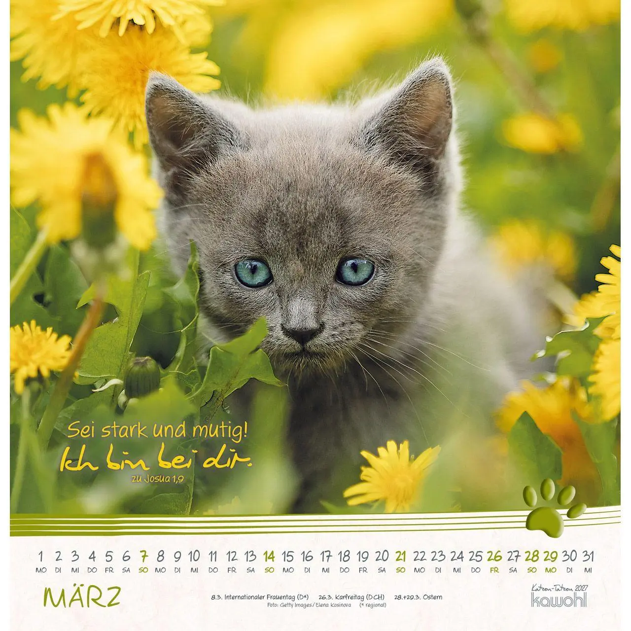 Bild: 9783754829875 | Katzen-Tatzen 2027 | Kalender | 14 S. | Deutsch | 2027