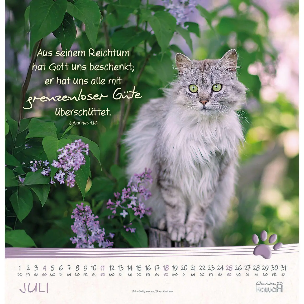 Bild: 9783754829875 | Katzen-Tatzen 2027 | Kalender | 14 S. | Deutsch | 2027