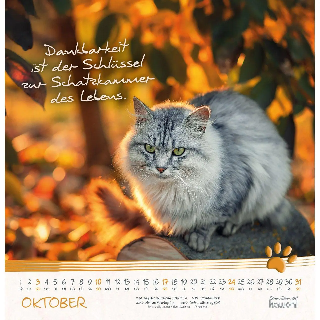 Bild: 9783754829875 | Katzen-Tatzen 2027 | Kalender | 14 S. | Deutsch | 2027