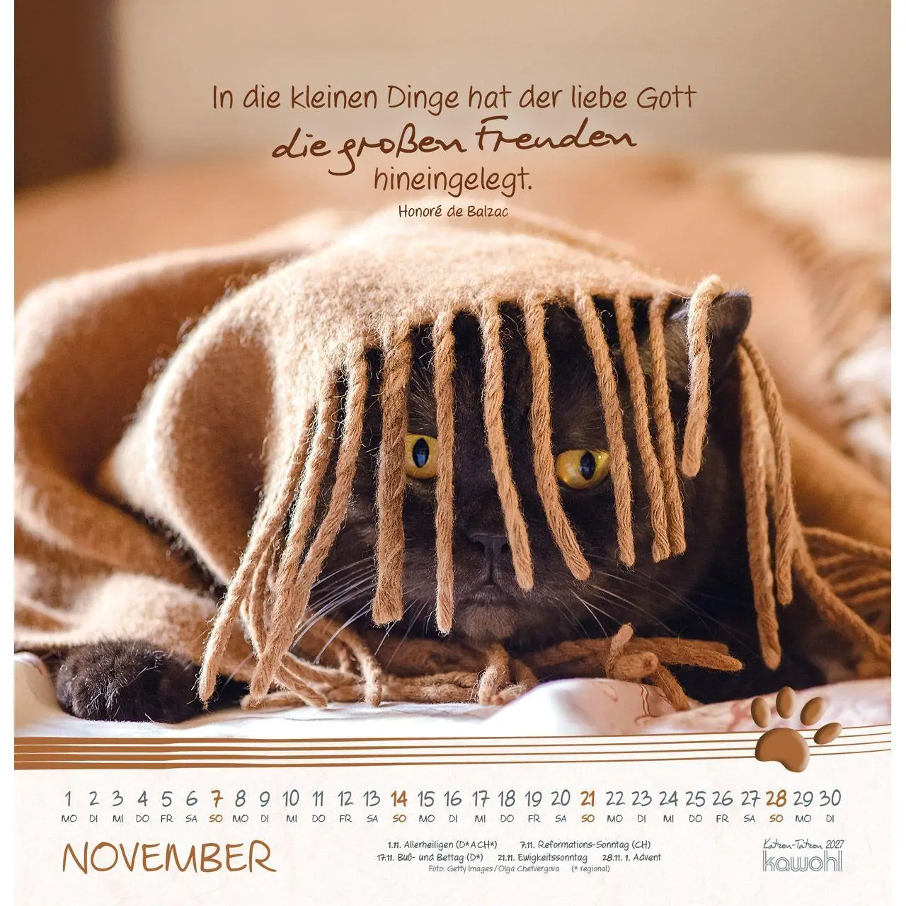 Bild: 9783754829875 | Katzen-Tatzen 2027 | Kalender | 14 S. | Deutsch | 2027