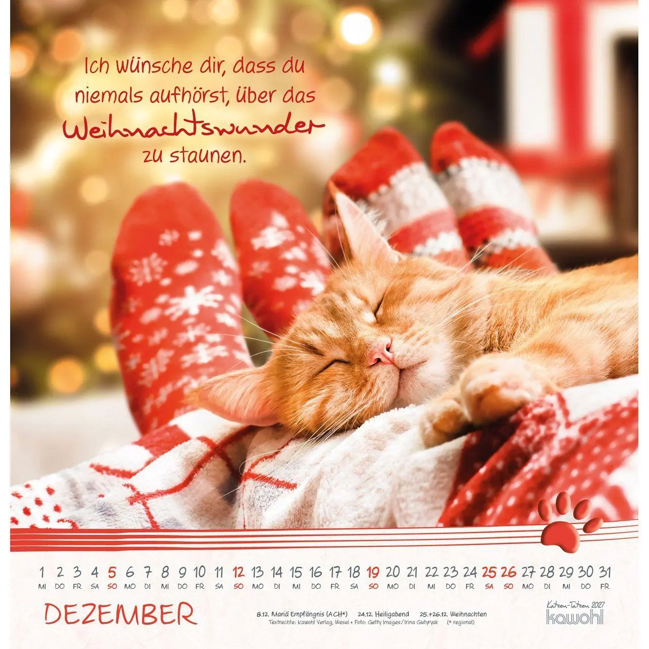 Bild: 9783754829875 | Katzen-Tatzen 2027 | Kalender | 14 S. | Deutsch | 2027