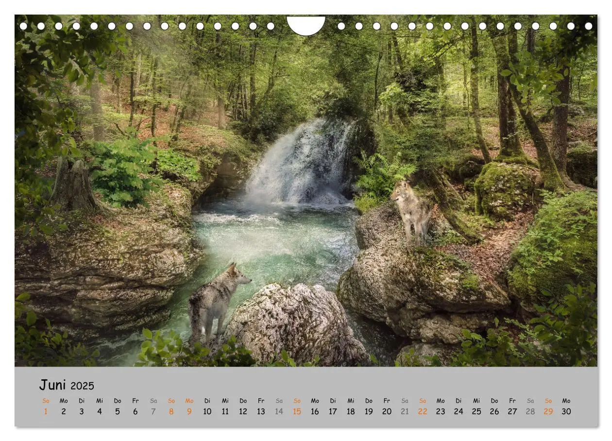 Bild: 9783435080076 | Der lange Weg der Wölfe (Wandkalender 2025 DIN A4 quer), CALVENDO...