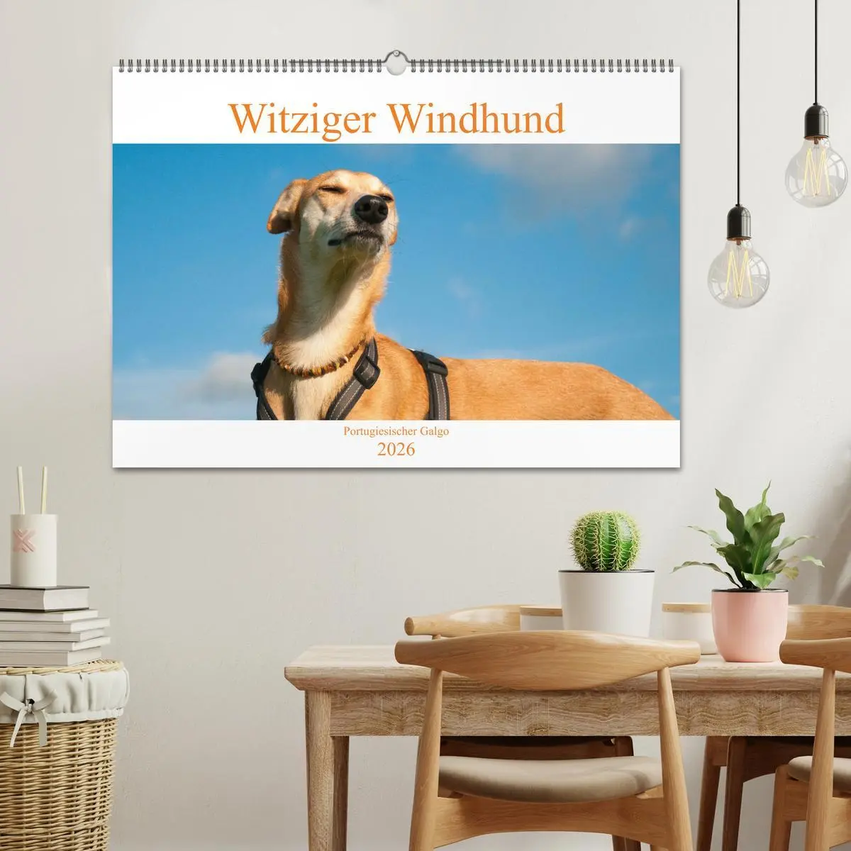 Bild: 9783457620076 | Witziger Windhund - Portugiesischer Galgo (Wandkalender 2026 DIN A2...