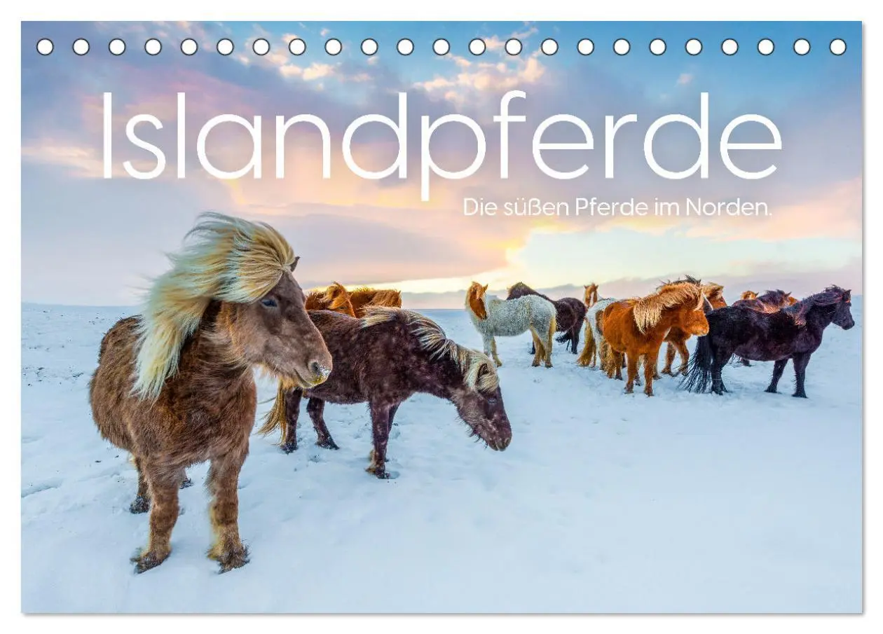 Cover: 9783457540176 | Islandpferde - Die süßen Pferde im Norden. (Tischkalender 2026 DIN...