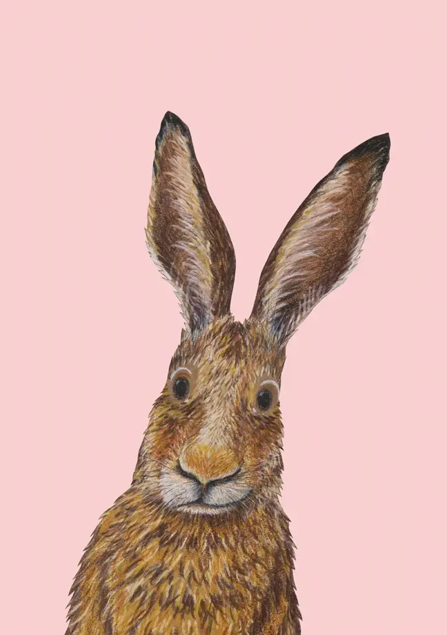 Cover: 9783715240176 | Ich heiße Hase, und... Postkarte VE 1=10 | Kathrin Schärer | 10 S.