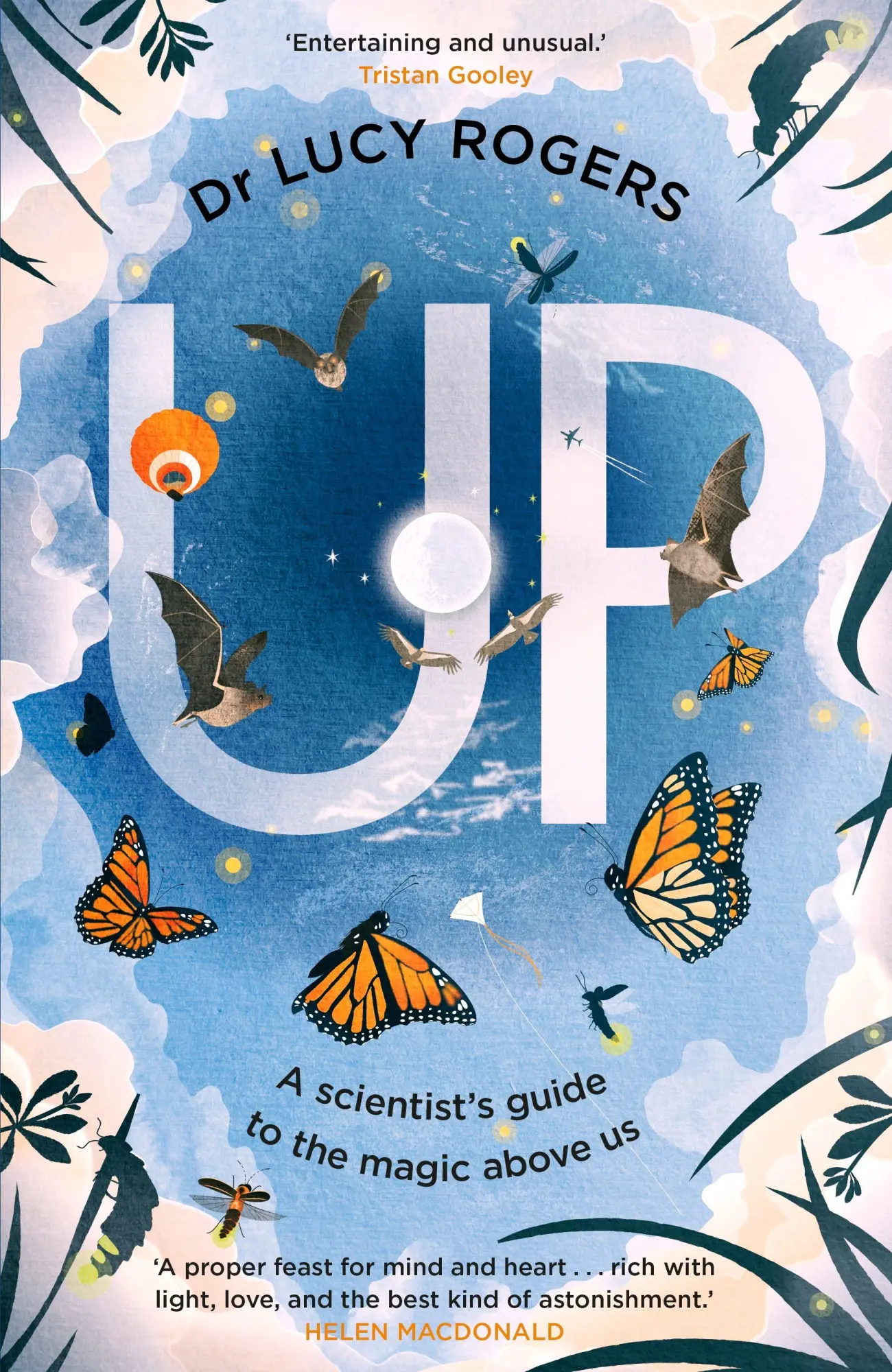 Cover: 9781529930276 | Up | A scientist's guide to the magic above us | Lucy Rogers | Buch