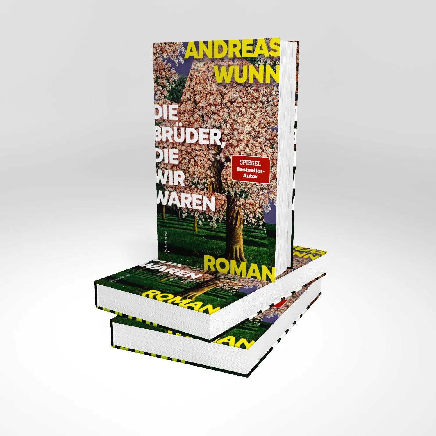Bild: 9783691310276 | Die Brüder, die wir waren | Wie gut kennen wir die, die wir lieben?