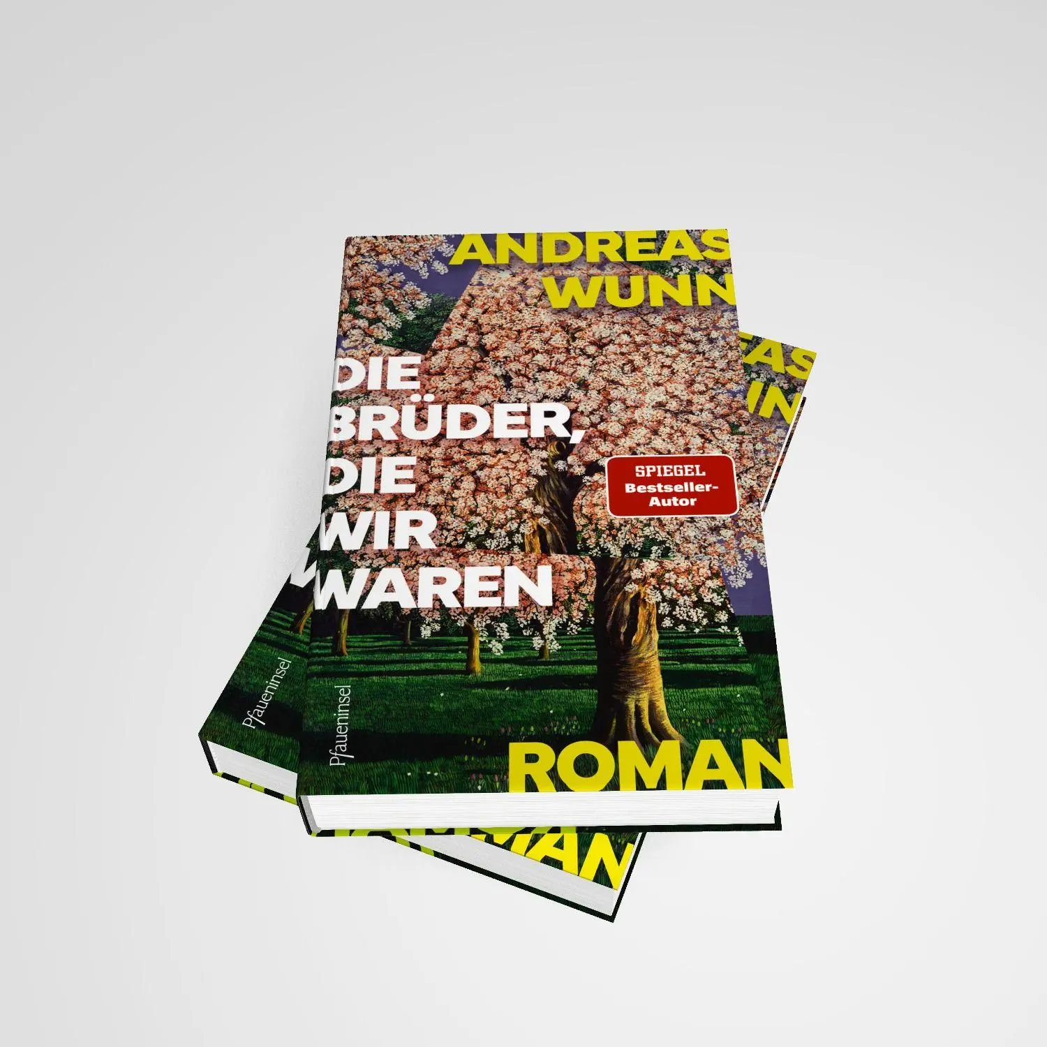 Bild: 9783691310276 | Die Brüder, die wir waren | Wie gut kennen wir die, die wir lieben?