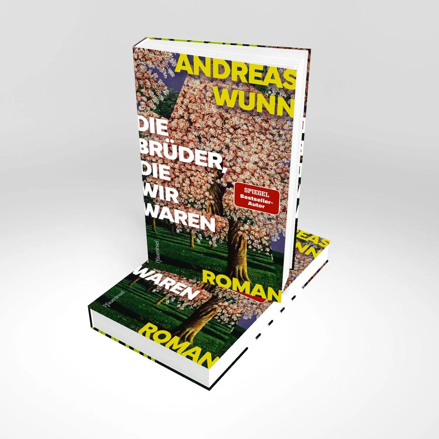 Bild: 9783691310276 | Die Brüder, die wir waren | Wie gut kennen wir die, die wir lieben?