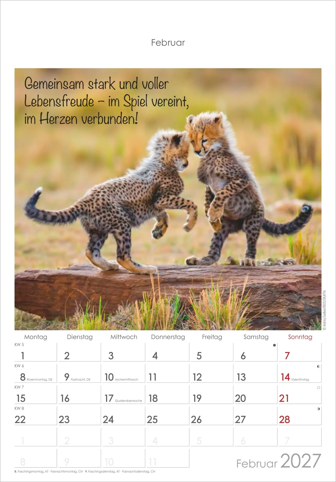 Bild: 4069095010376 | Kleine Freunde 2027 | Neumann Verlage GmbH &amp; Co KG | Kalender | 14 S.
