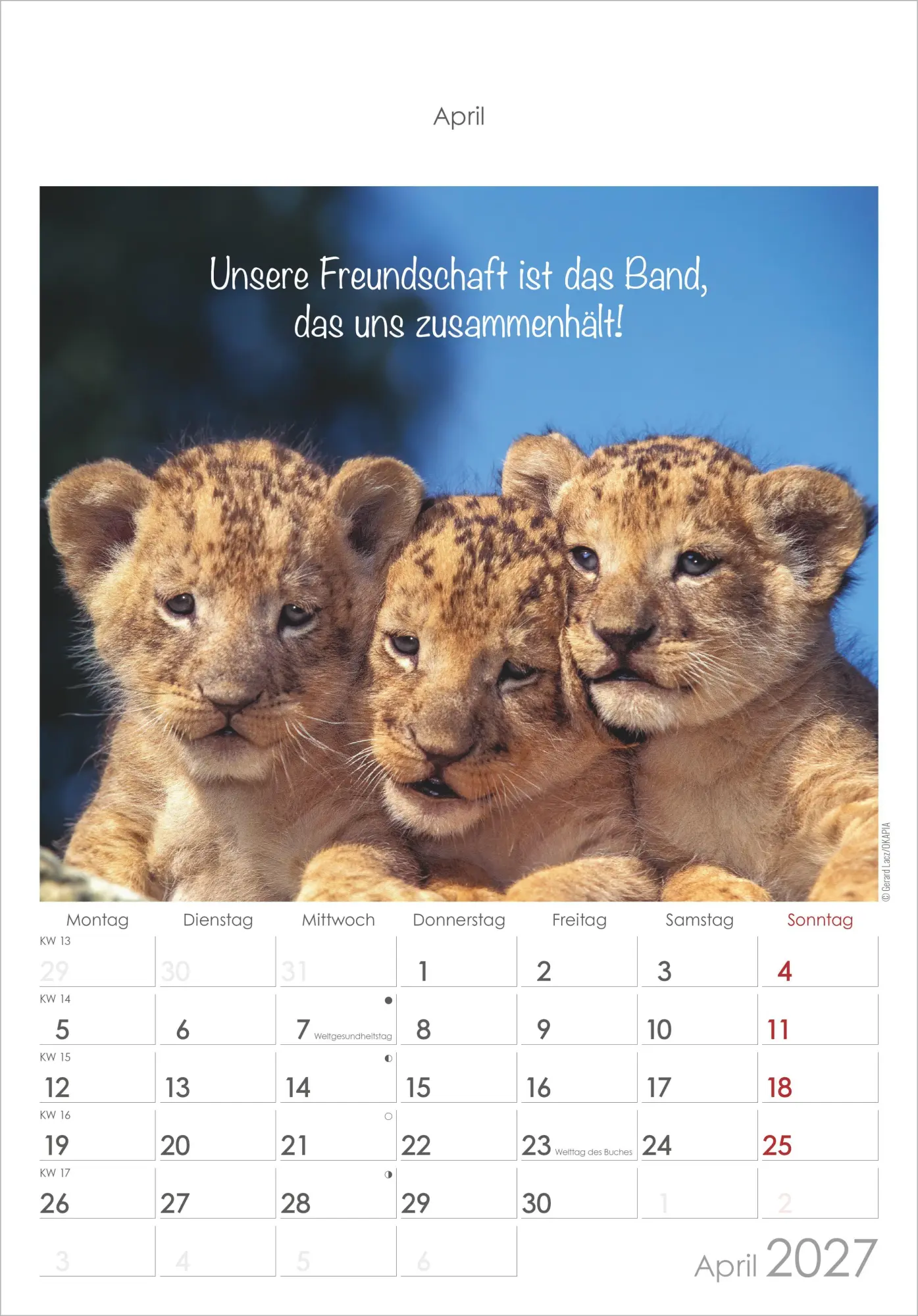 Bild: 4069095010376 | Kleine Freunde 2027 | Neumann Verlage GmbH &amp; Co KG | Kalender | 14 S.