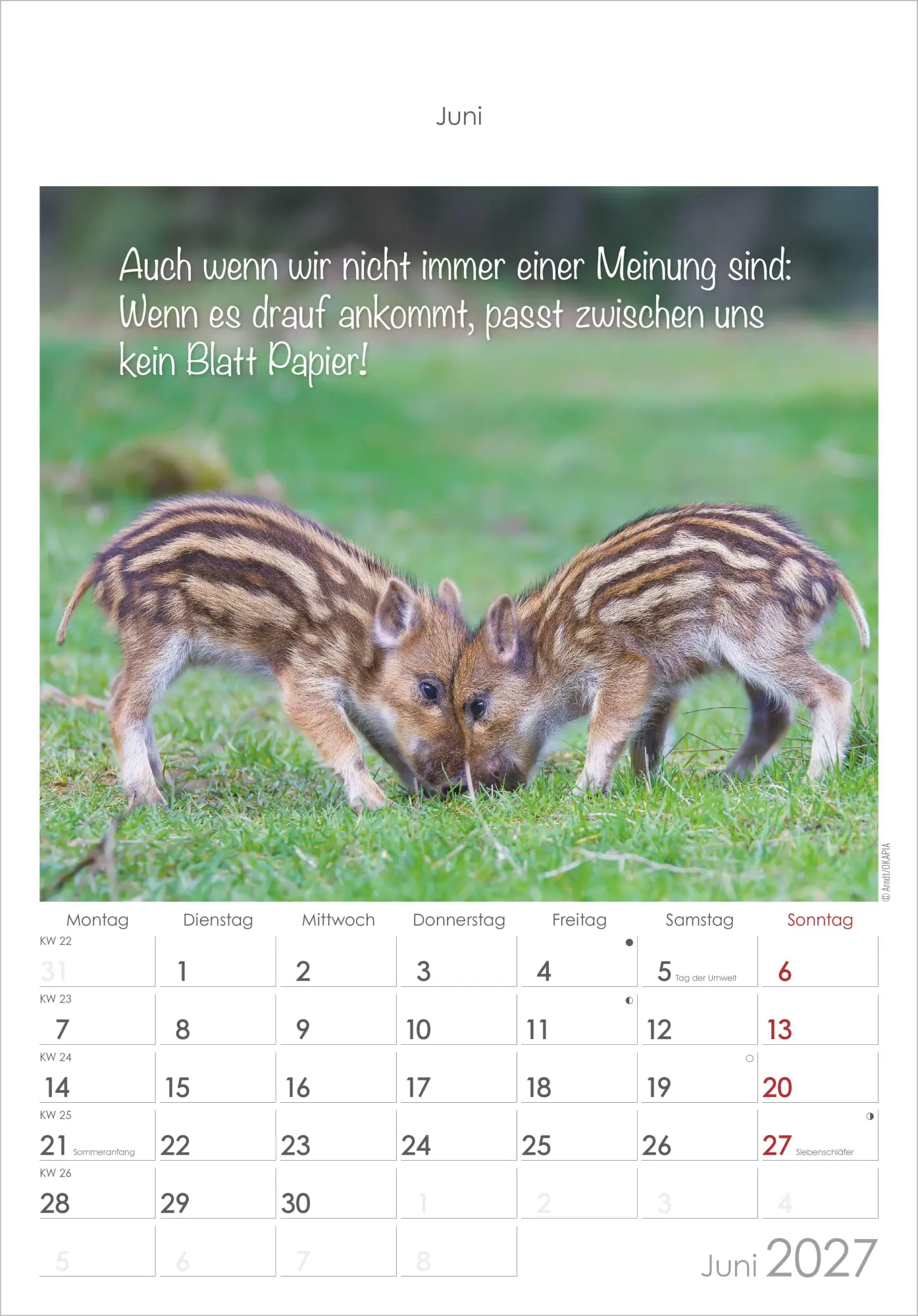 Bild: 4069095010376 | Kleine Freunde 2027 | Neumann Verlage GmbH &amp; Co KG | Kalender | 14 S.