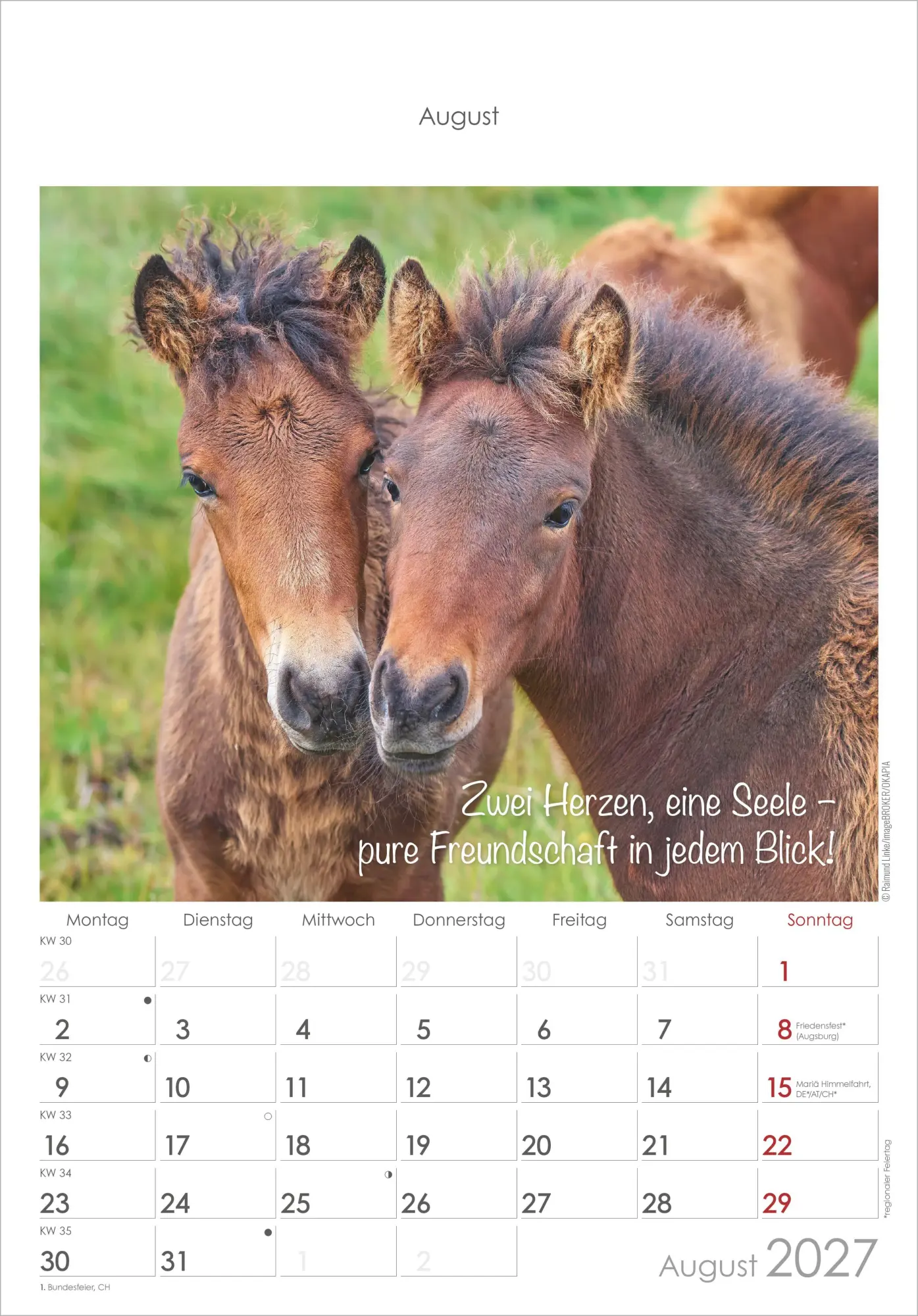 Bild: 4069095010376 | Kleine Freunde 2027 | Neumann Verlage GmbH &amp; Co KG | Kalender | 14 S.
