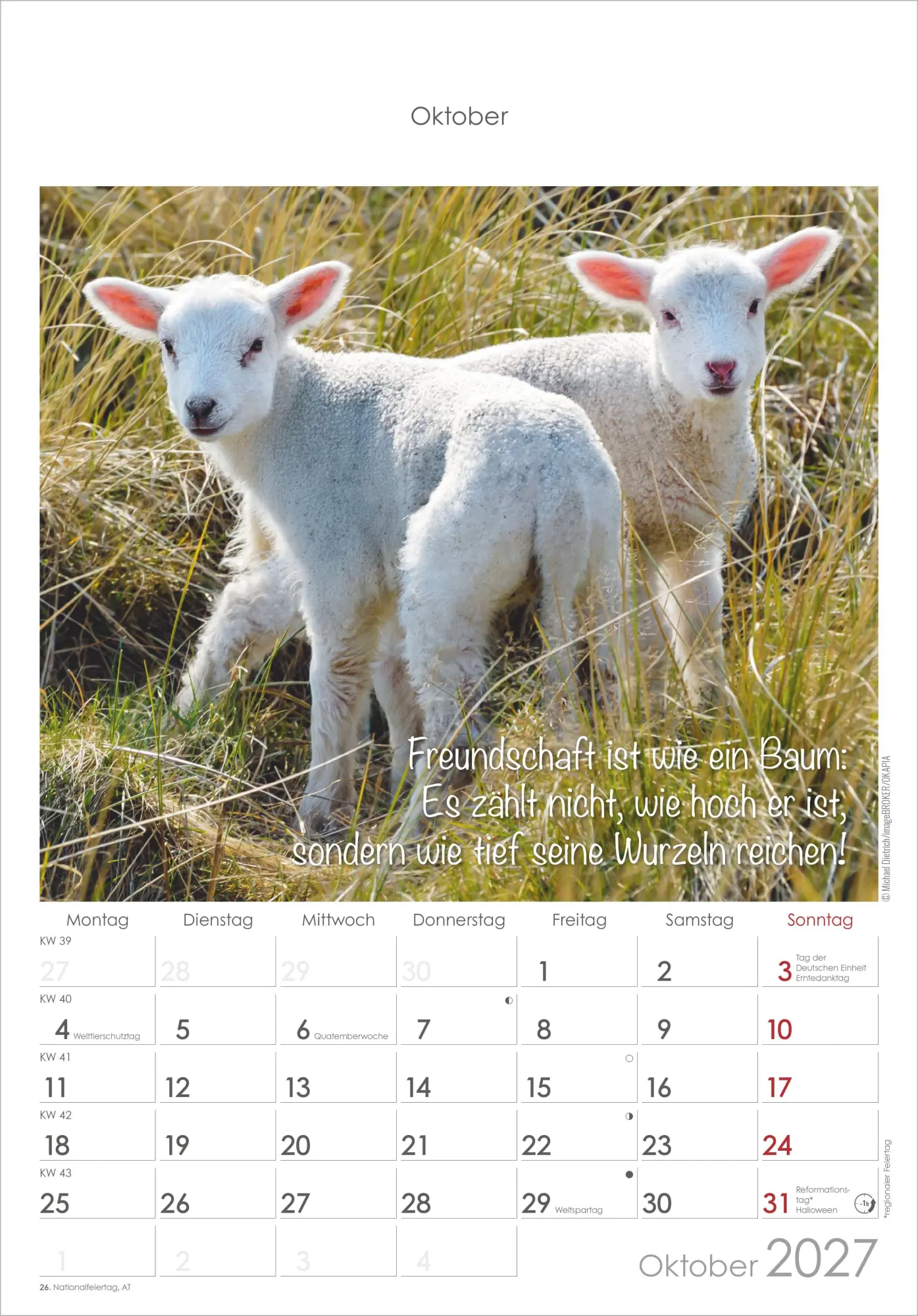 Bild: 4069095010376 | Kleine Freunde 2027 | Neumann Verlage GmbH &amp; Co KG | Kalender | 14 S.