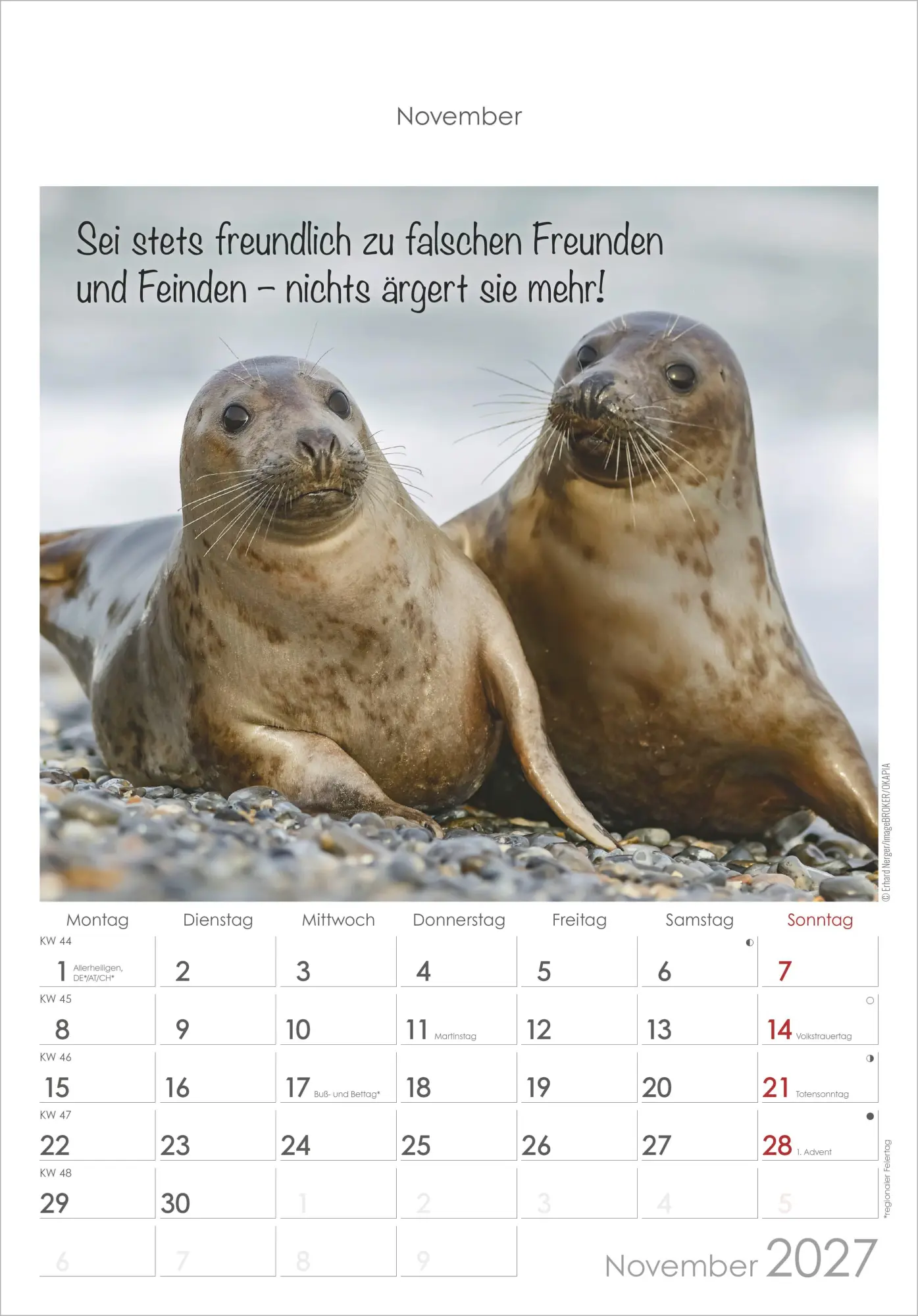 Bild: 4069095010376 | Kleine Freunde 2027 | Neumann Verlage GmbH &amp; Co KG | Kalender | 14 S.