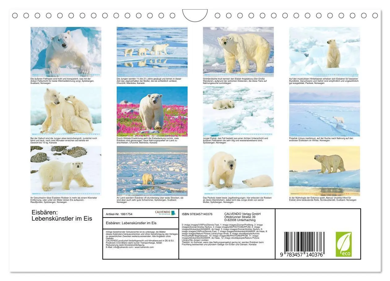 Bild: 9783457140376 | Eisbären: Lebenskünstler im Eis (Wandkalender 2025 DIN A4 quer),...