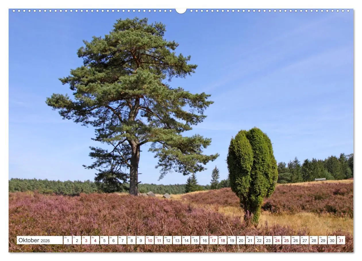 Bild: 9783457450376 | Die Lüneburger Heide - Ausflugsziel im Norden (hochwertiger Premium...