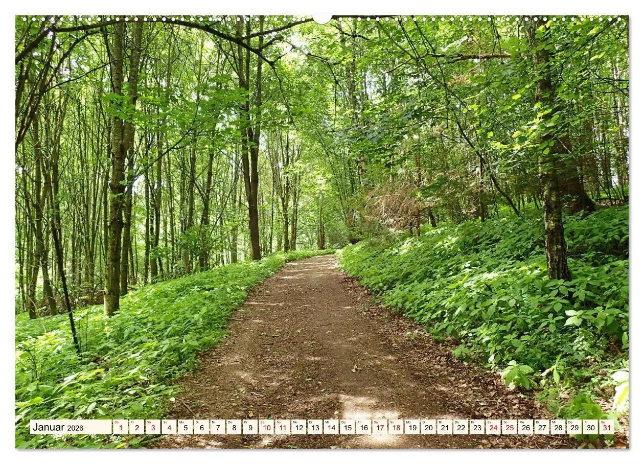 Bild: 9783457690376 | Viele Wege - ein Ziel Wandern im Odenwald (hochwertiger Premium...