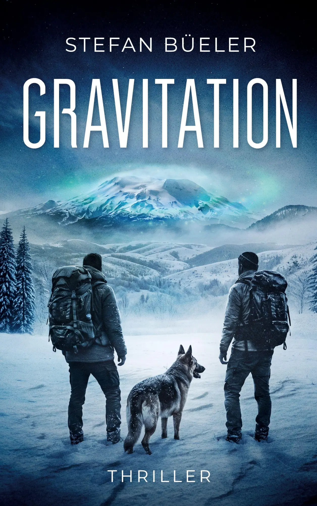 Cover: 9783696350376 | Gravitation | Stefan Büeler | Taschenbuch | 294 S. | Deutsch | 2026