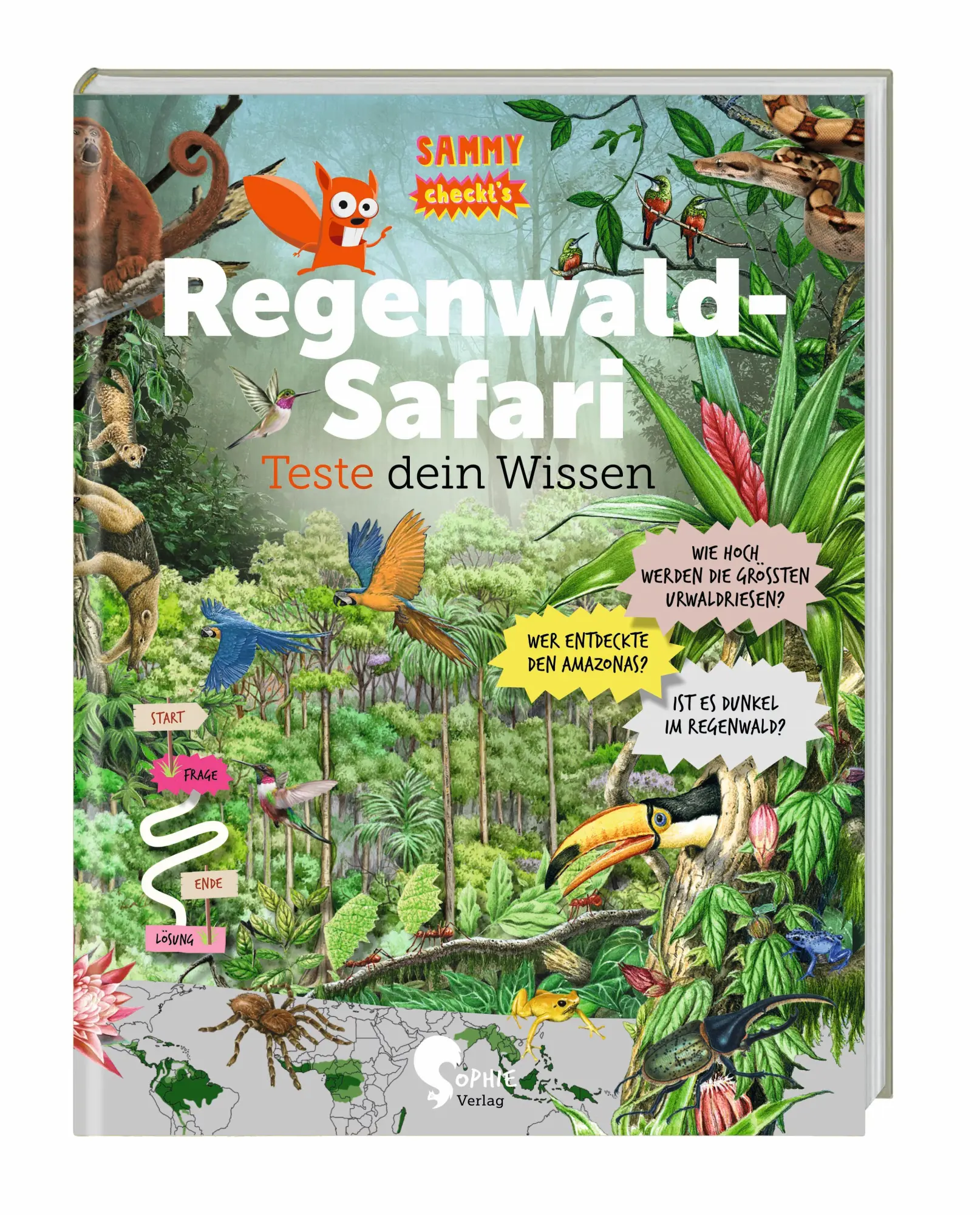 Cover: 9783968080376 | Regenwald-Safari | Teste dein Wissen (Sammy checkt's) | Cucchiarini